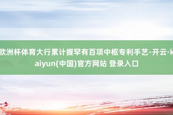 欧洲杯体育大行累计握罕有百项中枢专利手艺-开云·kaiyun(中国)官方网站 登录入口